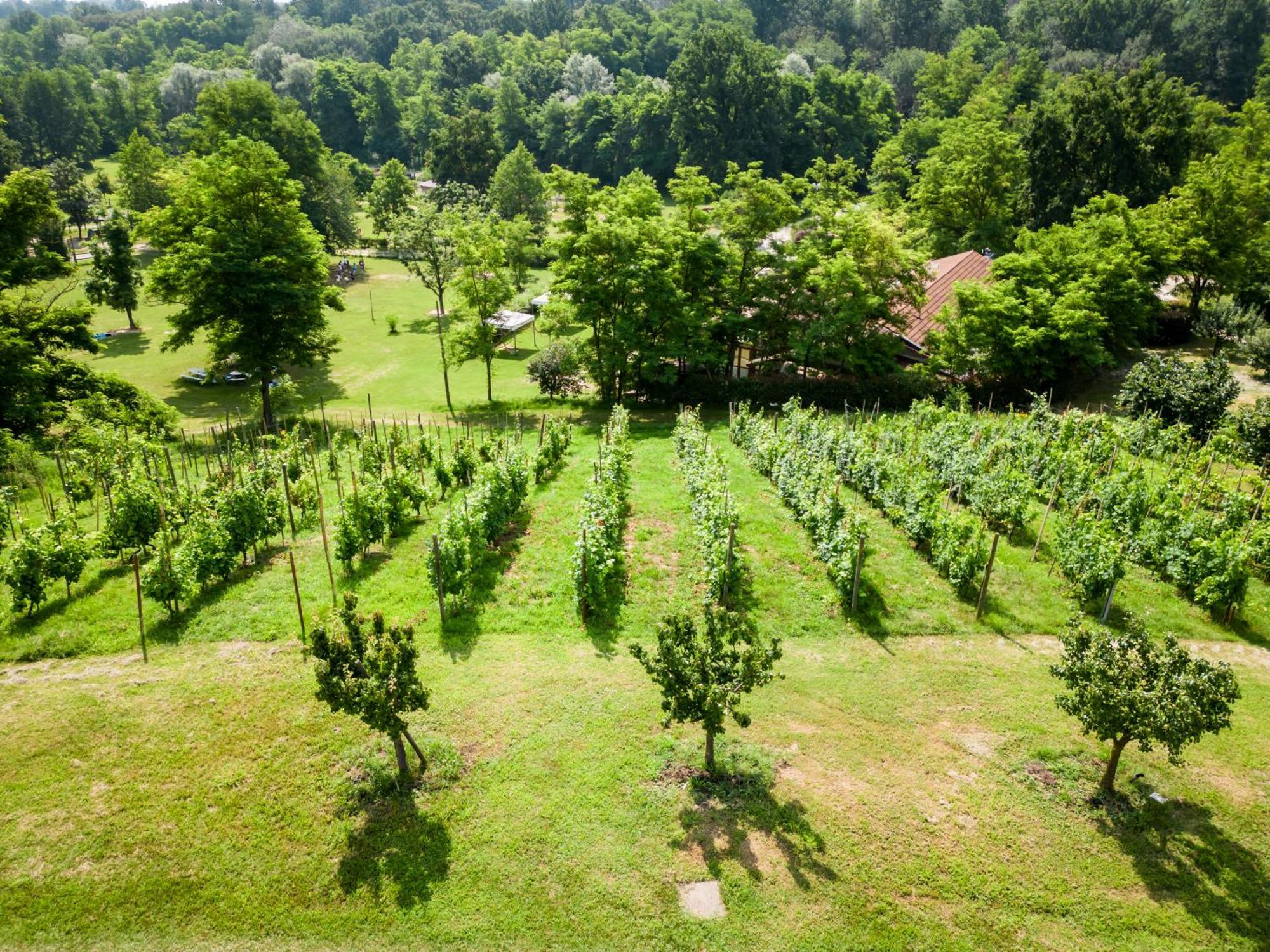 Agriturismo Parco Campofelice Bed & Breakfast Lombardore Exterior foto