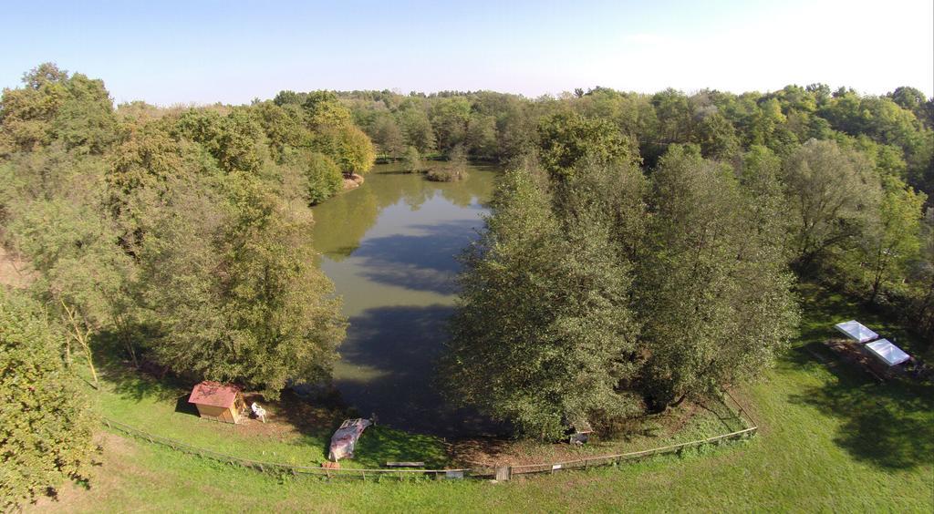 Agriturismo Parco Campofelice Lombardore Exterior foto